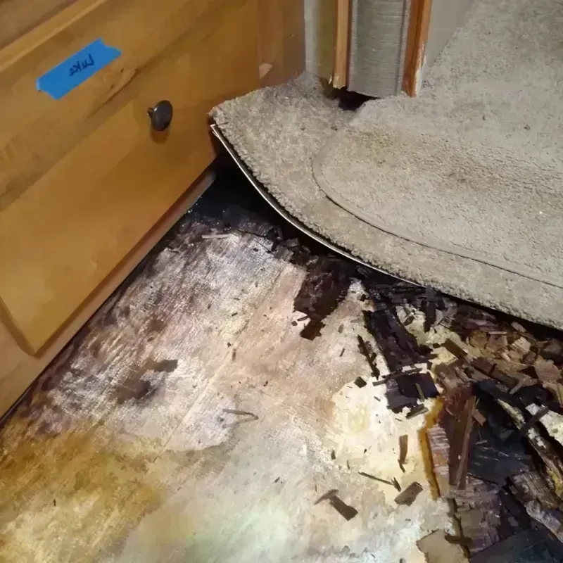 Wood Floor Water Damage in Cedar Falls, IA